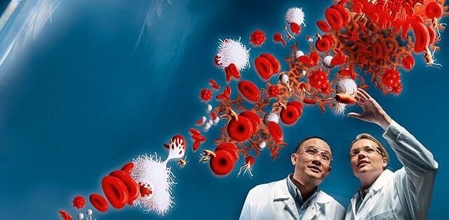 Bayer AG
