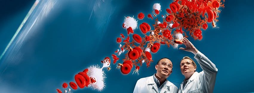 Bayer AG