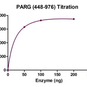 PARG recombinant protein